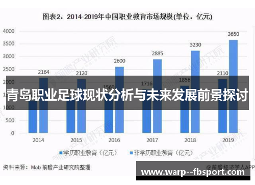 青岛职业足球现状分析与未来发展前景探讨