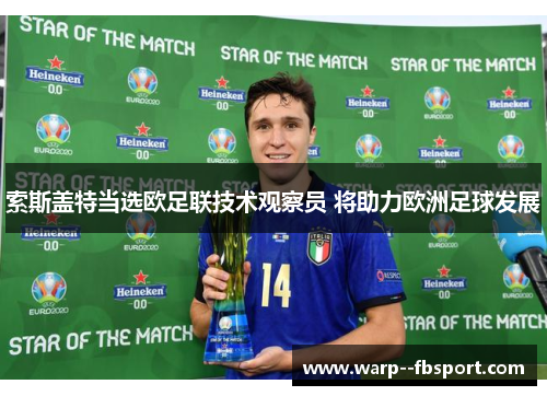 索斯盖特当选欧足联技术观察员 将助力欧洲足球发展 索斯盖特当选欧足联技术观察员 将助力欧洲足球发展