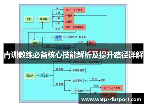 青训教练必备核心技能解析及提升路径详解 青训教练必备核心技能解析及提升路径详解